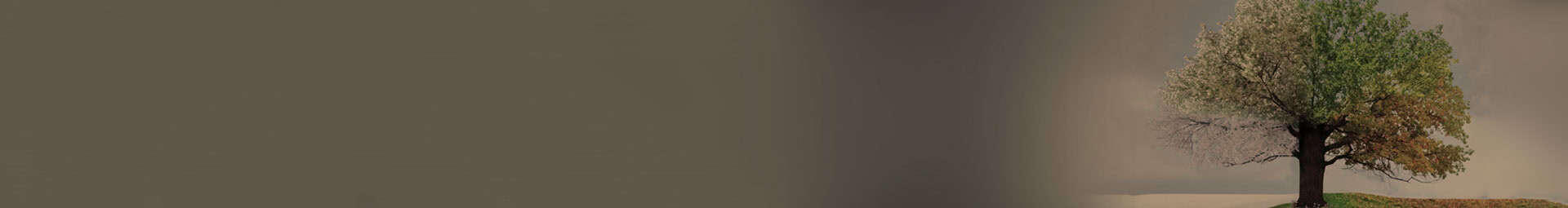 εποχιακά προϊόντα φαρμακείου