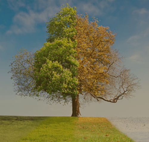 Εποχιακά προϊόντα φαρμακείου