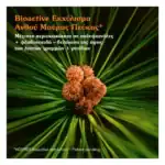 ΚΟΡΡΕΣ Black Pine Primus Ορός Ενεργοποίησης Νεότητας, 30ml - Image 2