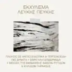 ΚΟΡΡΕΣ Promo White Pine Λευκή Πεύκη για Αναπλήρωση Όγκου με Κρέμα Ημέρας για Κανονικές-Μικτές 40ml & ΔΩΡΟ Λευκή Πεύκη Κρέμα Νύχτας 15ml, 1τμχ - Image 3