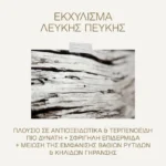 ΚΟΡΡΕΣ Promo White Pine Λευκή Πεύκη για Αναπλήρωση Όγκου με Κρέμα Ημέρας για Κανονικές-Μικτές 40ml & ΔΩΡΟ Λευκή Πεύκη Κρέμα Νύχτας 15ml, 1τμχ - Image 3